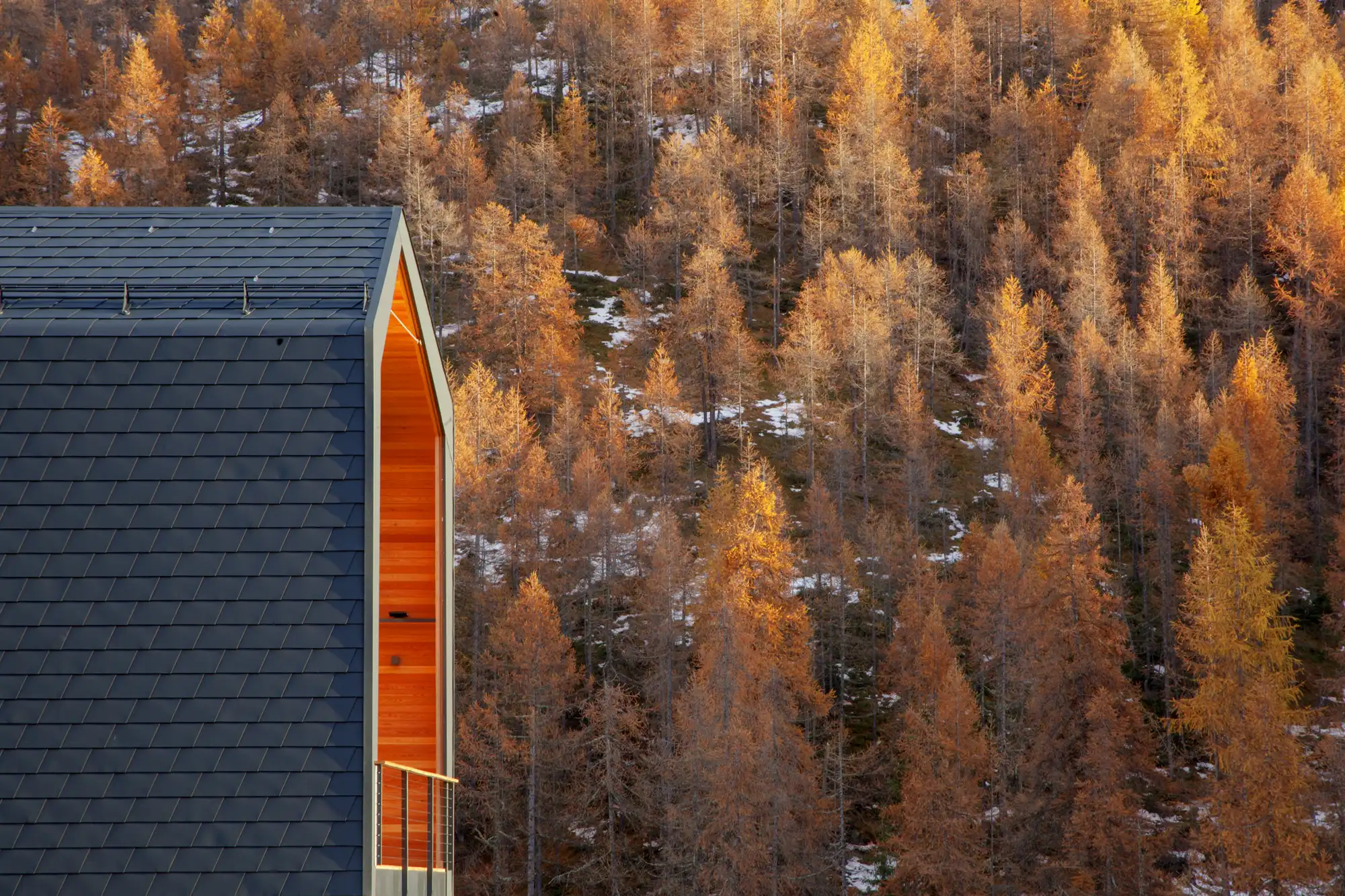 Build Impact Group: Your Innovative Timber Architecture Solution